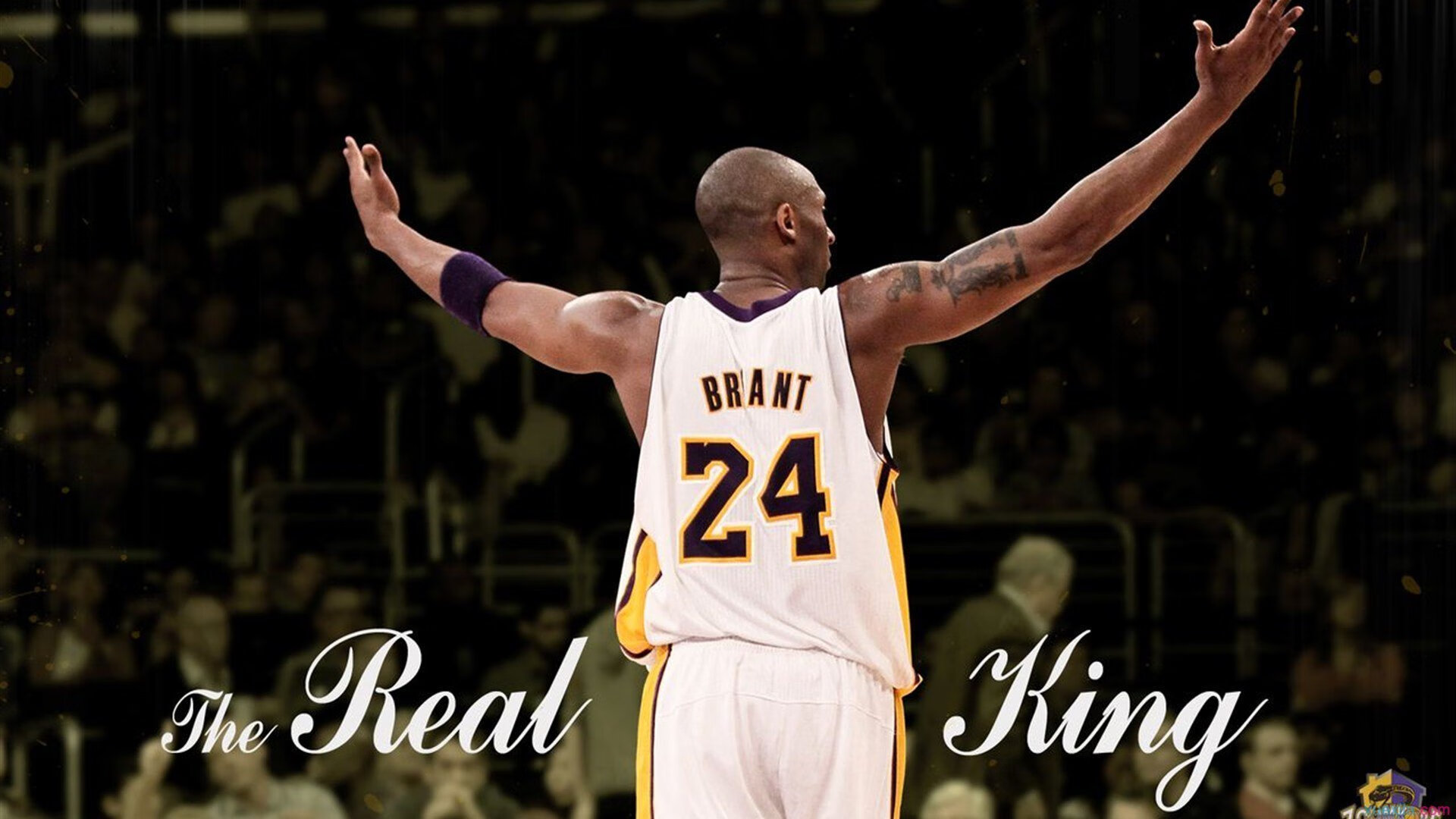 AYX官网-篮网开发“视障球迷语音播报系统”，实现无障碍观赛，篮网观众